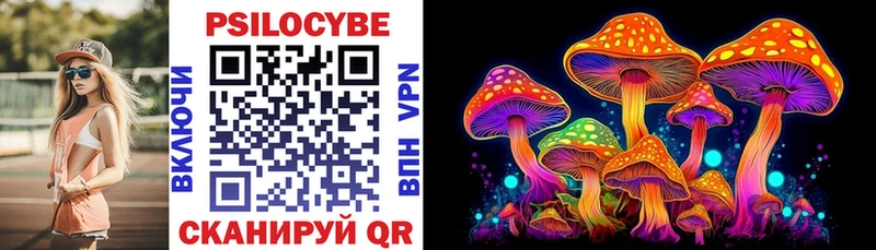 где продают   Сысерть  блэк спрут зеркало  Псилоцибиновые грибы Psilocybine cubensis 